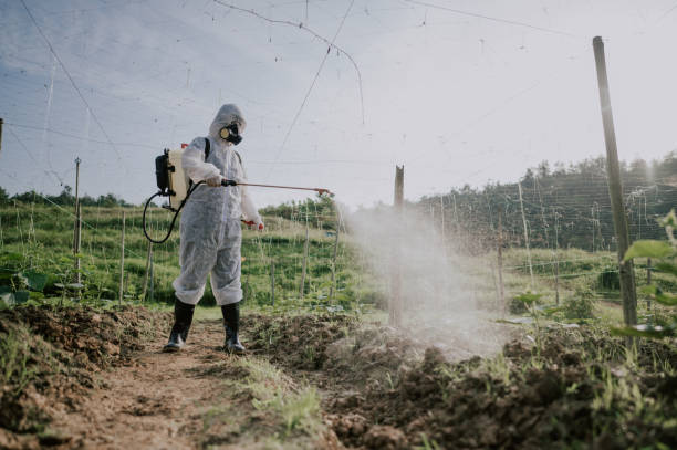 Best Commercial Pest Control Services  in Gridley, CA