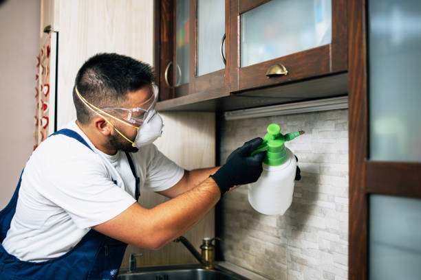 Best Affordable Pest Control Services  in Gridley, CA