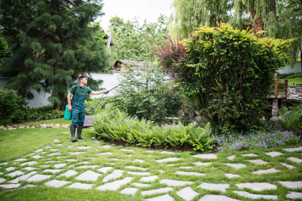 Best Cockroach Control Services  in Gridley, CA