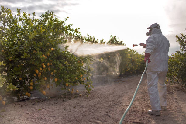Best Spider Control Near Me  in Gridley, CA