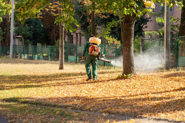 Best Pest Removal Services  in Gridley, CA