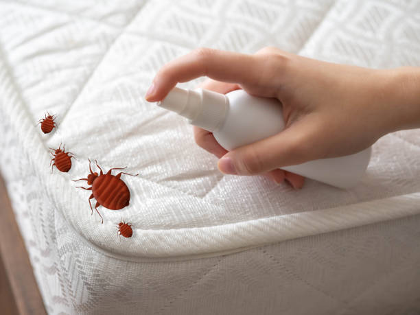 Best Pest Inspection Near Me  in Gridley, CA