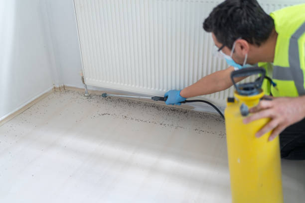Best Wasp Removal Services  in Gridley, CA