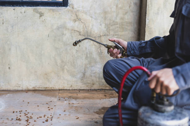 Best Pest Prevention Services  in Gridley, CA